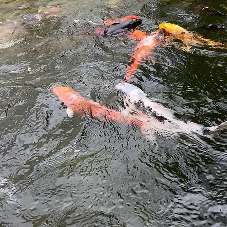 Casa Do Piscina Aquecida, Quartos 홈스테이 *