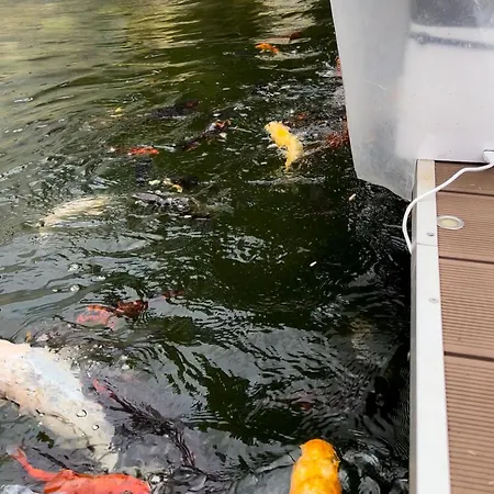 홈스테이 Casa Do Piscina Aquecida, Quartos *