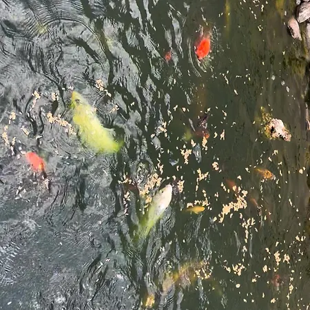 Casa Do Piscina Aquecida, Quartos 에스피뇨