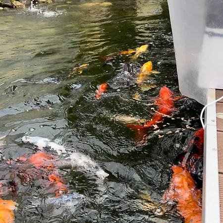 Casa Do Piscina Aquecida, Quartos 홈스테이 에스피뇨